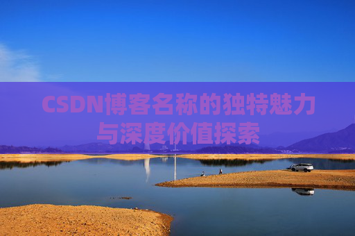 CSDN博客名称的独特魅力与深度价值探索